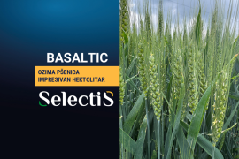 BASALTIC - ozima pšenica
