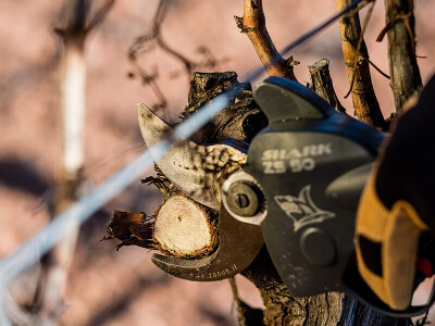 Baterijske škare za rezidbu voćnjaka, vinograda, parkova i nasada model KIT SHARK ZS-50