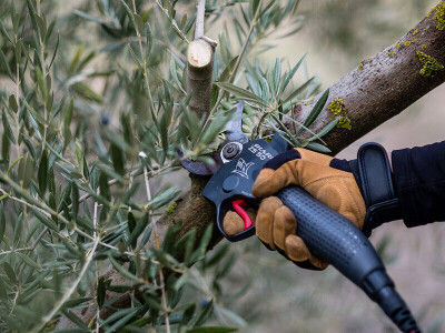 Baterijske škare za rezidbu voćnjaka, vinograda, parkova i nasada model KIT SHARK ZS-50