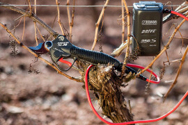 Baterijske škare za rezidbu voćnjaka, vinograda, parkova i nasada model TIGER SL 38