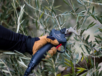 Baterijske škare za rezidbu voćnjaka, vinograda, parkova i nasada model TIGER SL 38