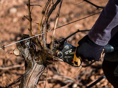 Baterijske škare za rezidbu voćnjaka, vinograda, parkova i nasada model TIGER SL 38