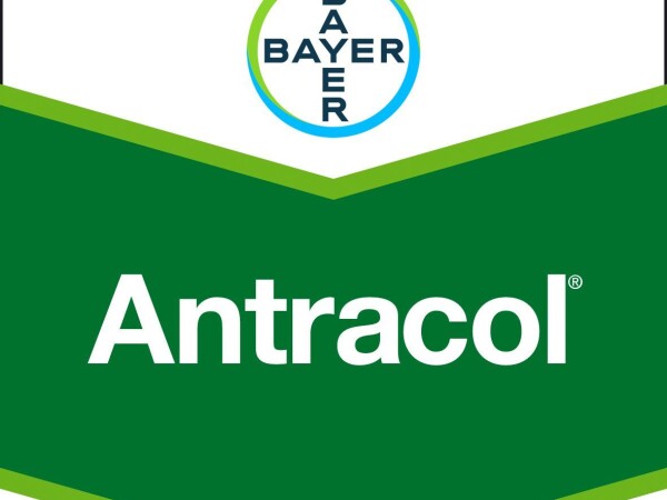 Antracol WG 70