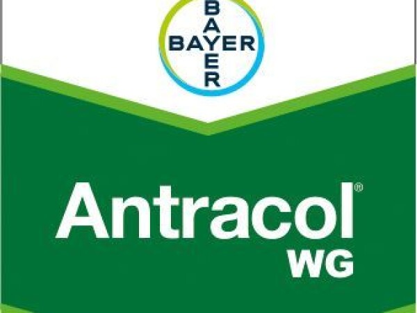 Antracol Combi WP 76