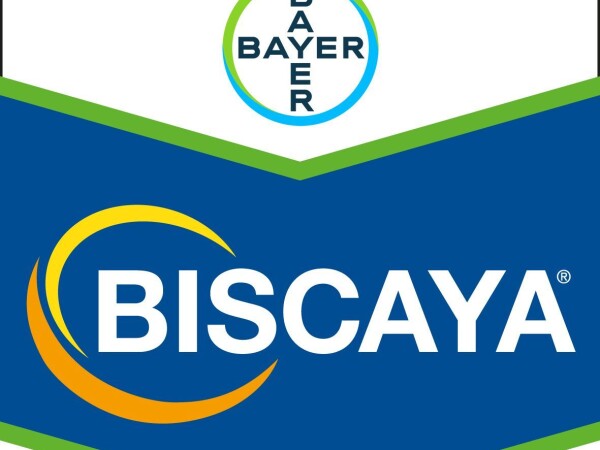 Biscaya - sistemični insekticid