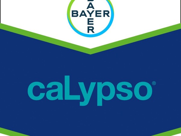 Calypso SC 480