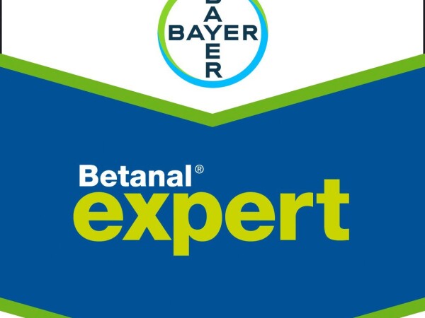 Betanal Expert