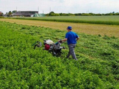 BCS Motorna kosilica 622