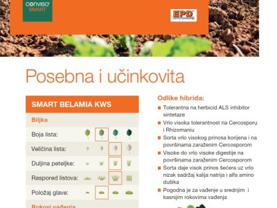SMART BELAMIA KWS - NOVO - N tip, Rz / Cr sjeme šećerne repe