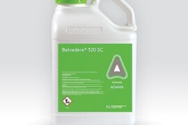 Belvedere® 320 SC