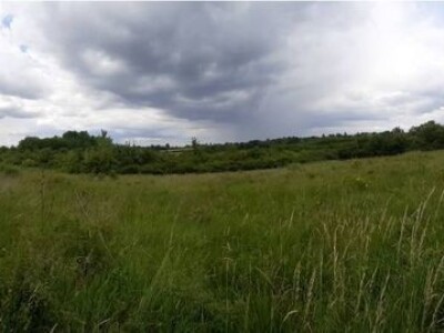 BESPLATNO dajem na korišćenje pašnjak