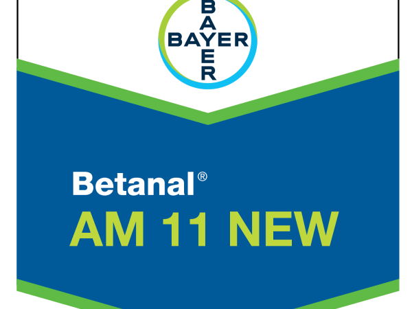 Betanal AM 11 New