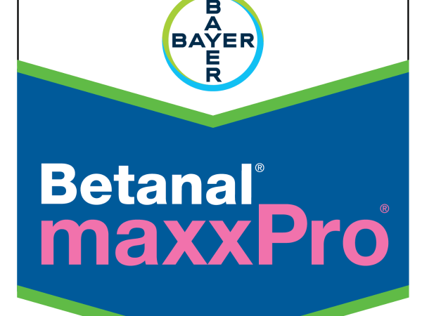Betanal Maxx Pro
