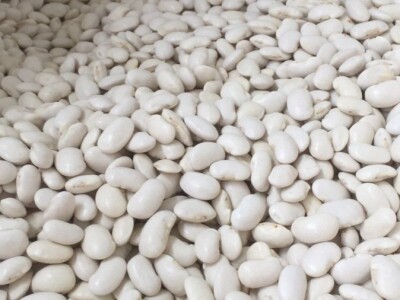 Bijeli grah / Poljska