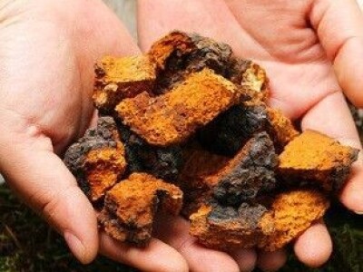 Biodihidrokvercetin - Najbolje za Srbiju