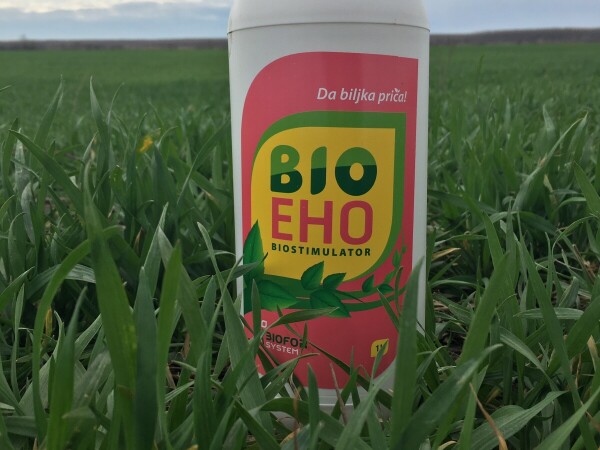 BioEho - prirodni biostimulator za folijarnu primenu