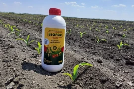 Biofor Active - Biološki NPK - tekuće mikrobiološko gnojivo
