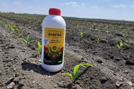 Biofor Active - Biološki NPK - tekuće mikrobiološko gnojivo