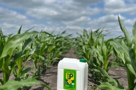 Biofor BioP - efikasna ishrana biljaka fosforom