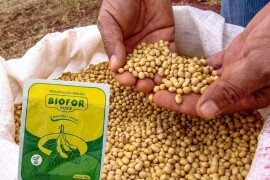 Biofor Soya - inokulant za tretman sjemena soje