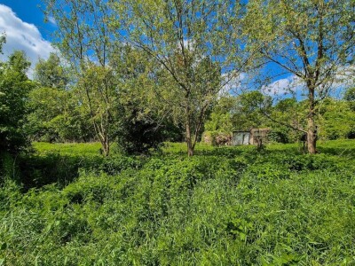 Bivša čarda 3100 m2 - Zmajevac (jedinstvena lokacija)