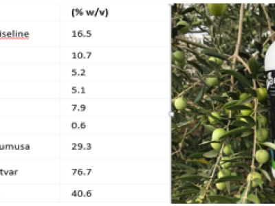 Bombardier – organski biostimulator nove generacije