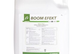 BOOM EFEKT 5/1