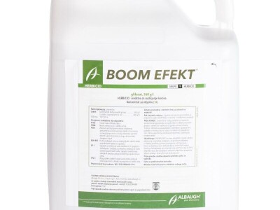 BOOM EFEKT 5/1