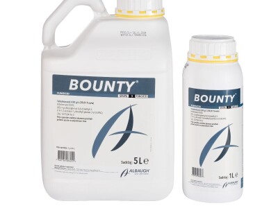 BOUNTY 5/1