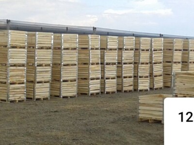 ✅Box Palete - sanduci za voće i povrće✅