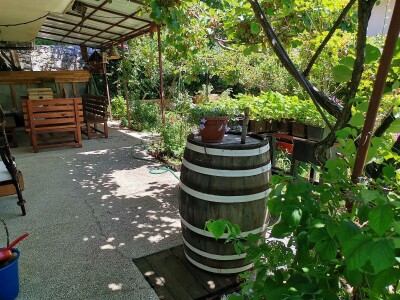 Ruralni turizam - vikendica na Ohridu