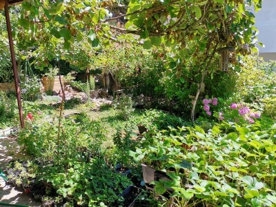 Ruralni turizam - vikendica na Ohridu