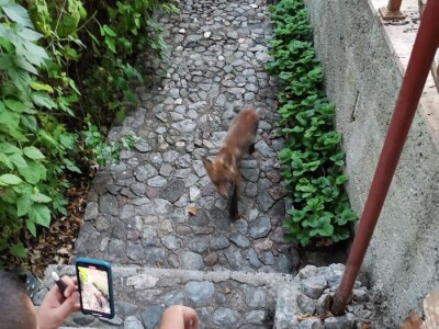 Ruralni turizam - vikendica na Ohridu