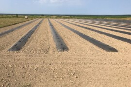 Bratina (ZG Županija)