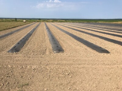 Bratina (ZG Županija)