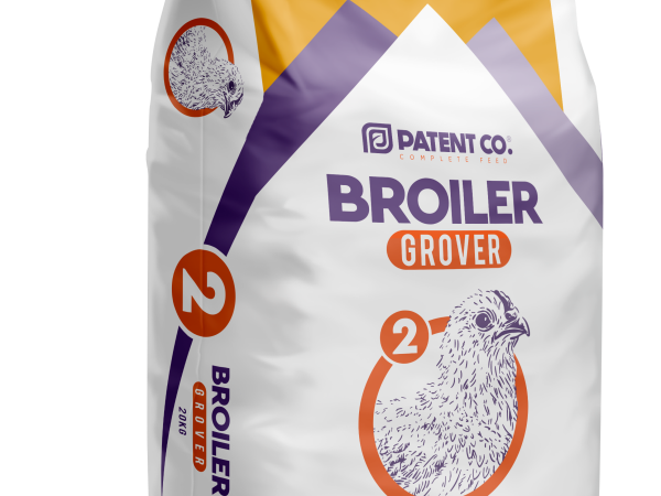 Broiler Grover