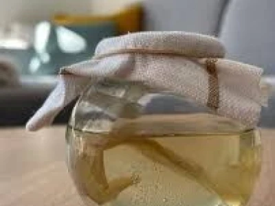 Čajna gljiva – Kombuha
