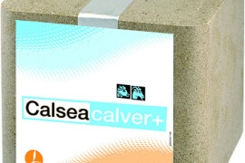 CALSEA CALVER