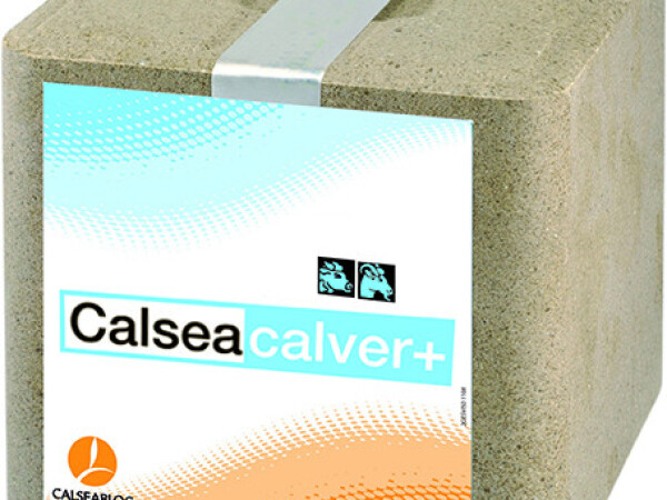 CALSEA CALVER