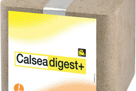 CALSEA DIGEST SP
