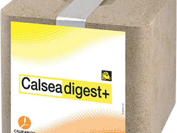 CALSEA DIGEST SP