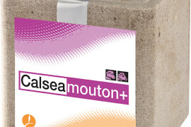 CALSEA MOUTON