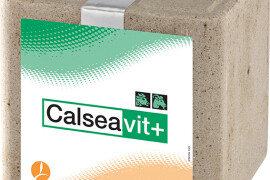 CALSEA VIT