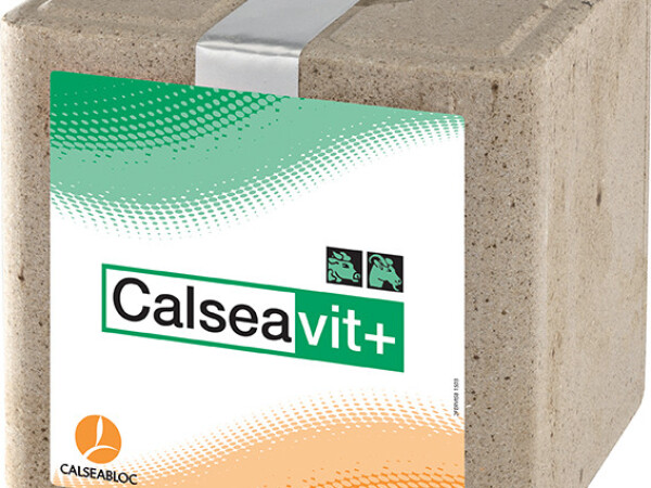 CALSEA VIT