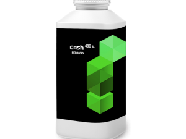 Cash (Dikamba 480 g/L)