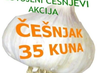 ČEŠNJAK - BIJELI LUK - DOMAĆI*ZA SADNJU