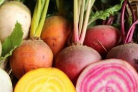 Cikla ŠARENA MJEŠAVINA