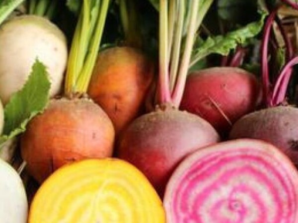 Cikla ŠARENA MJEŠAVINA