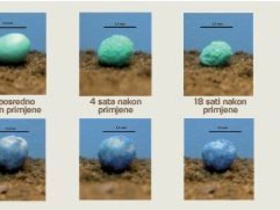 YaraMila Complex i Cropcare™ NPK granulirana gnojiva koje karakterizira izrazita djelotvornost