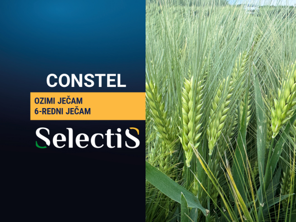 CONSTEL - ozimi ječam